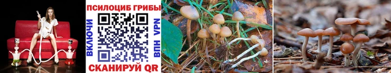 Псилоцибиновые грибы Magic Shrooms Купить Пыталово